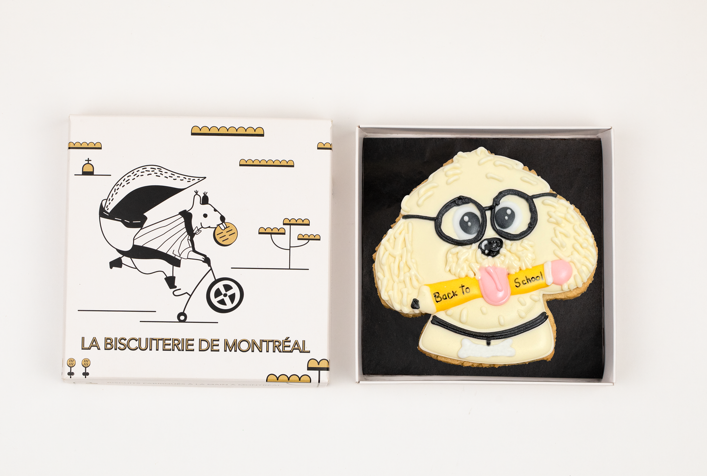 Le petit écolier
