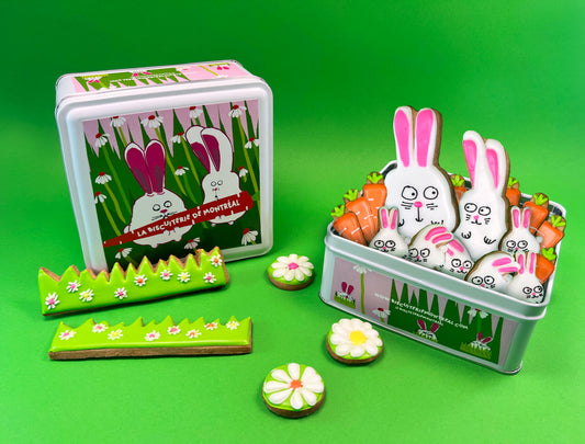 La lapins dans le jardin