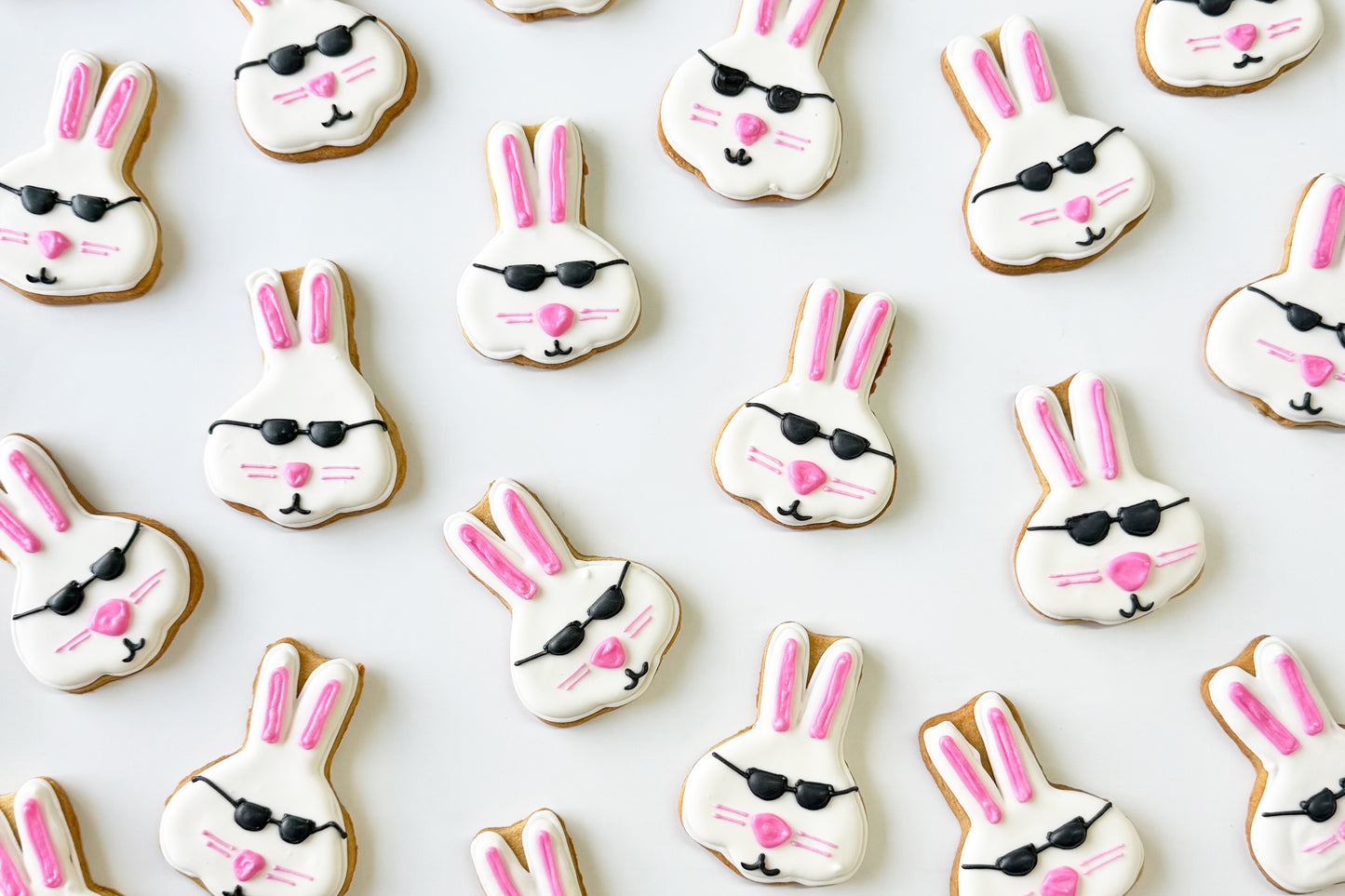 24 lapins pour ta gang